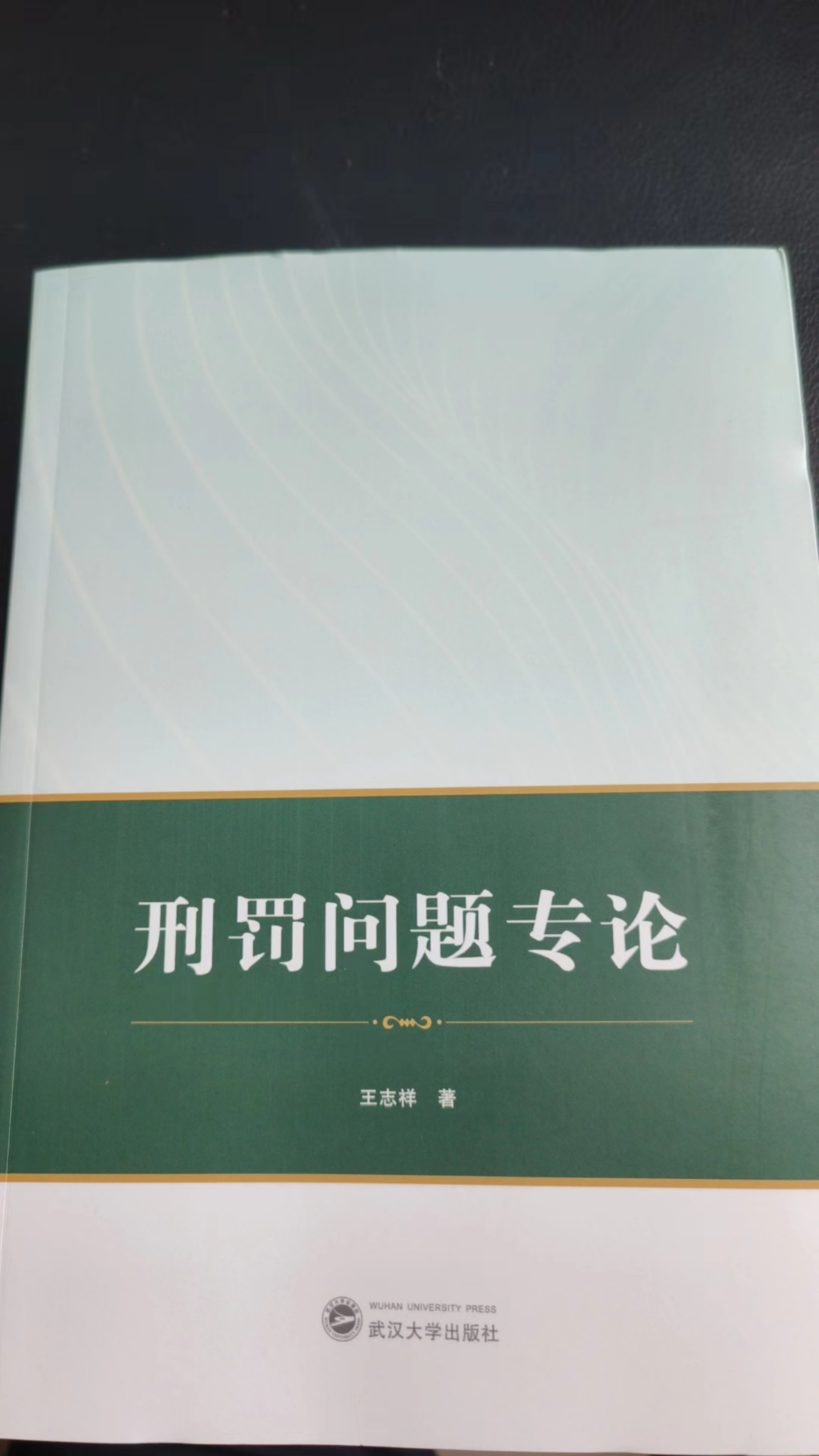 《刑罚问题专论》武汉大学出版社 2023-06 王志祥.jpg